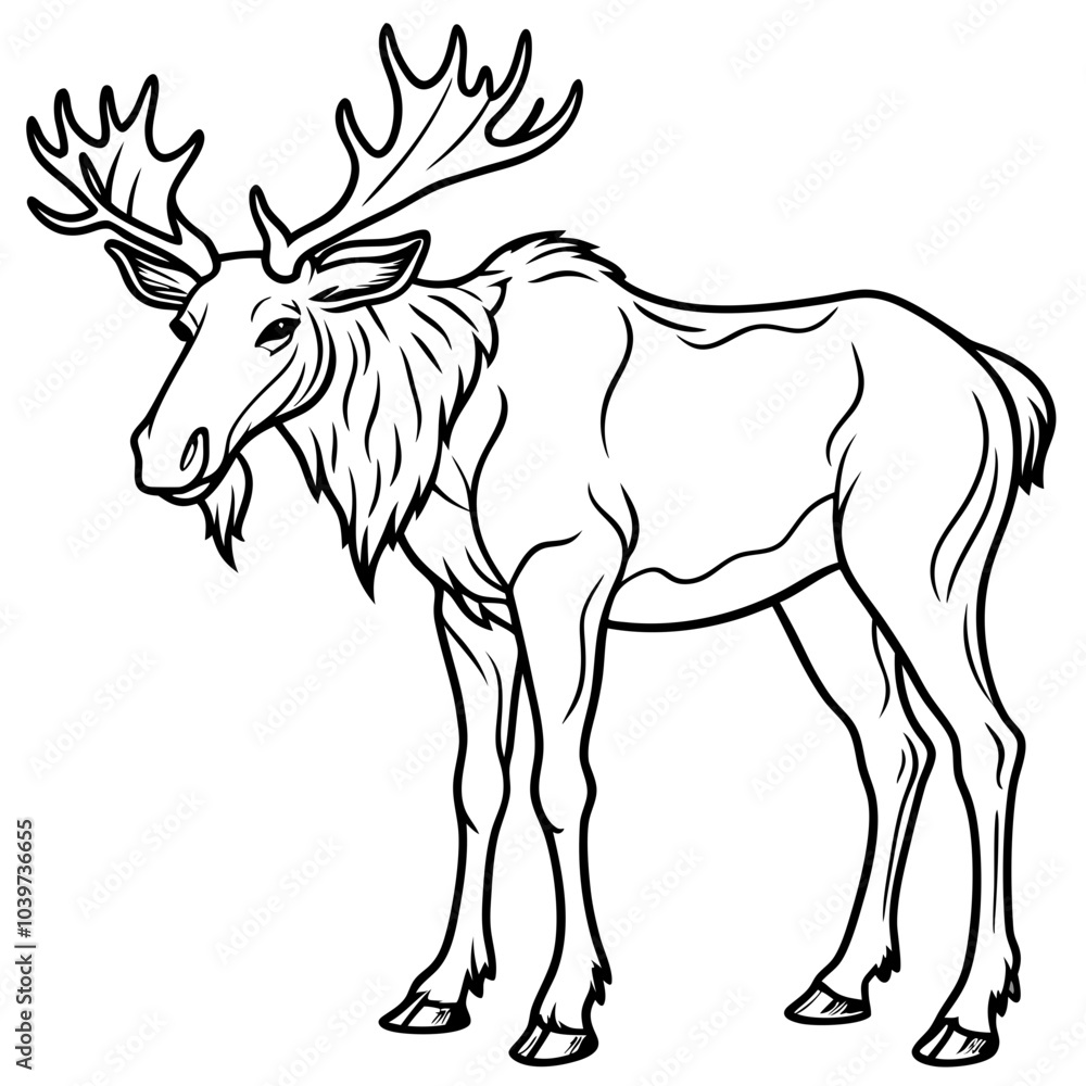 Obraz premium Moose