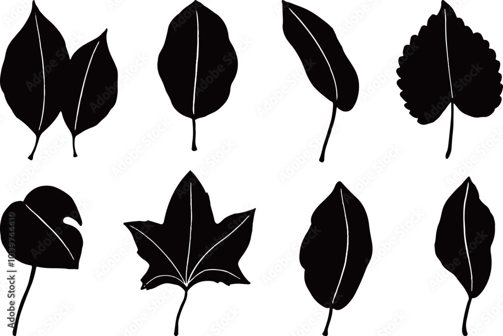 Obraz premium Set of different leaves silhouette