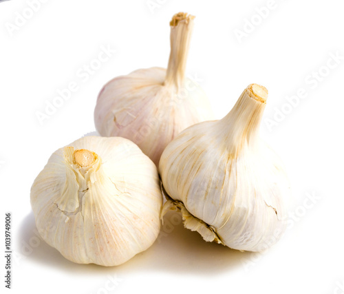 Garlic heads and cloves on white background