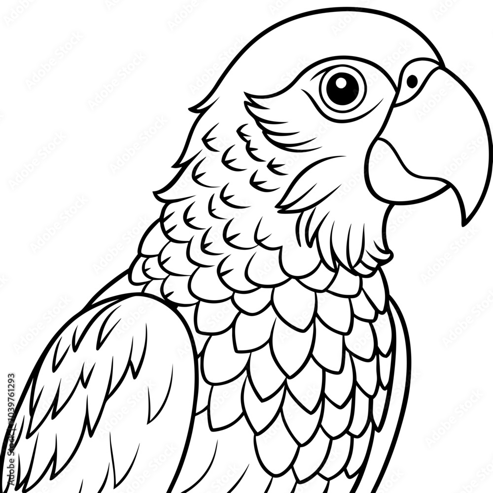 Parrot Parrot
