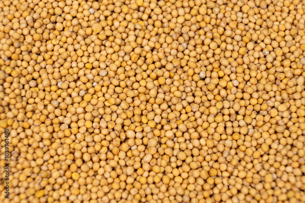 Yellow Dry Mustard Seed Background, Natural Organic Seasoning, Top View. Yellow Dry Mustard Seed Background, Natural Organic Seasoning, Top View.