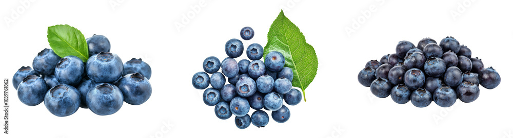 Set pile of Blueberries and green leaves with different view isolated on background, fresh fruit berry with high vitamin. Set pile of Blueberries and green leaves with different view isolated on background, fresh fruit berry with high vitamin.