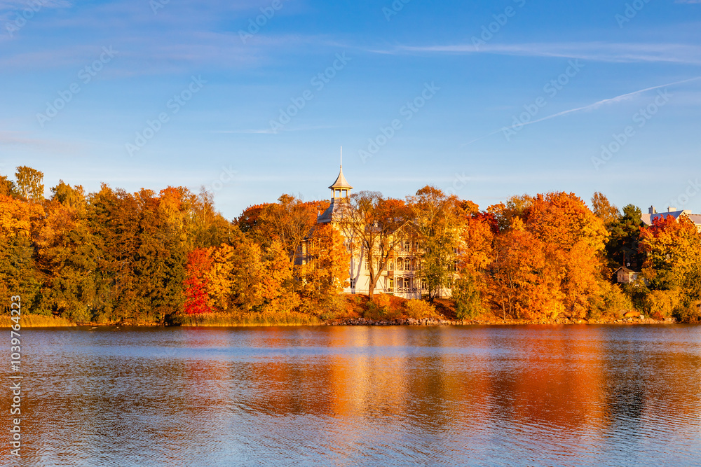 autumn in the park