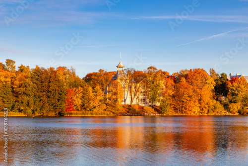 Obraz na płótnie autumn in the park w salonie