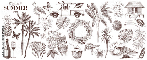 Tropical Hawaii vector super set