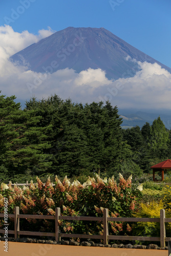 Japan’s Mt. Fuji in summer season