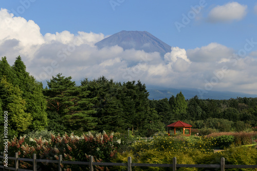 Japan’s Mt. Fuji in summer season