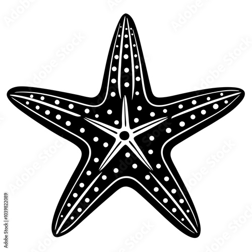 starfish on black background