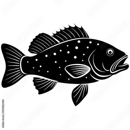 black and white fish