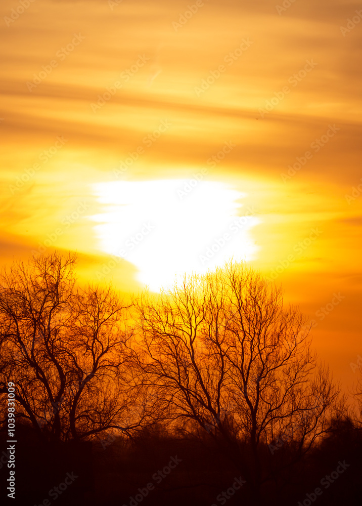 Sunset sky, orange and pink sunset tints on clouds, with silhouettes of trees without leaves in autumn. Forest landscape against sky with sunlight in golden hour. Sunset sky, orange and pink sunset tints on clouds, with silhouettes of trees without leaves in autumn. Forest landscape against sky with sunlight in golden hour.