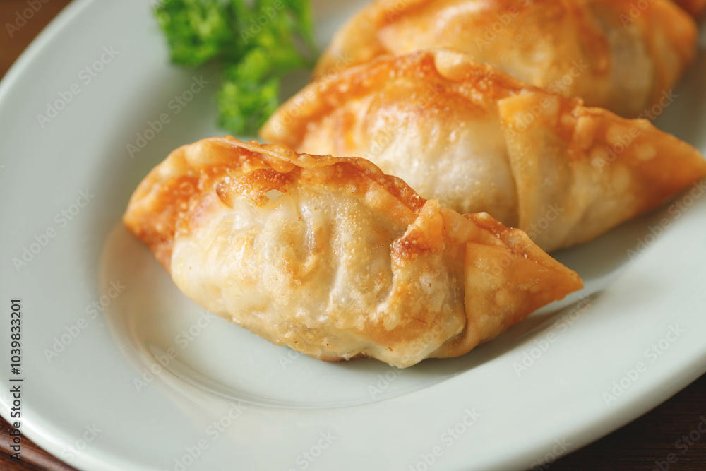 揚げ餃子 揚げ餃子