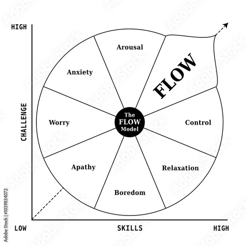 Diagramme FLOW - Modèle de Coaching pour Carrière - Business Ressources Humaines - Outil de Développement Personnel , Noir et Blanc
