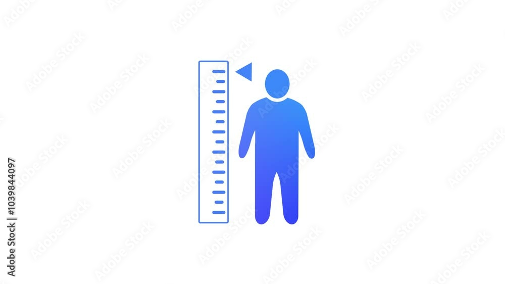 Measuring height body icon. Human body size growth measuring icon animation. A person with a height measurement scale. Measuring height body icon. Human body size growth measuring icon animation. A person with a height measurement scale.
