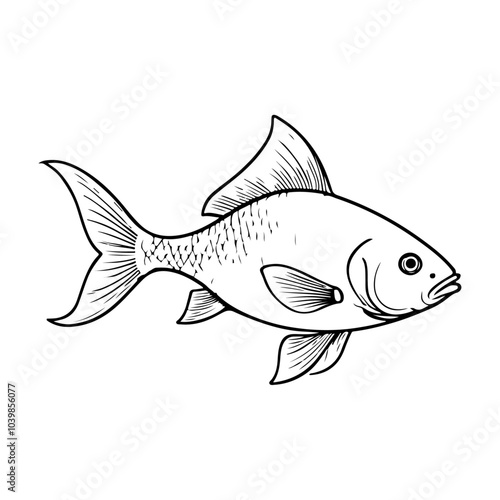 Fish line Art Drawing on an isolated white background