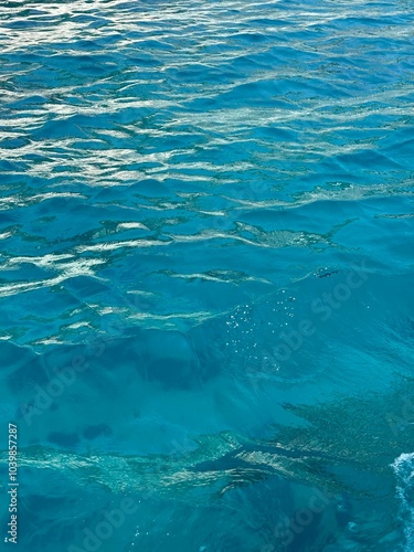 Wallpaper Mural Croatian sea  Torontodigital.ca