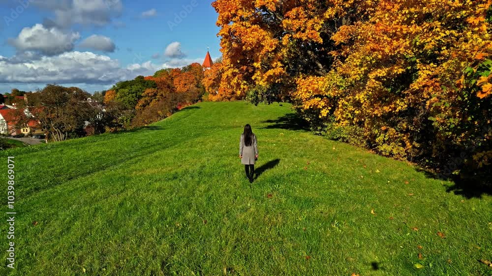 Person Walking Along a Green Grass Field Amidst Vibrant Autumn Trees and Leaves Person Walking Along a Green Grass Field Amidst Vibrant Autumn Trees and Leaves