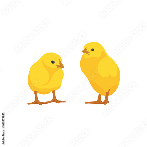 Vector illustration young chicken in cartoon flat style. Yellow chick domestic animal. Farming agriculture chicken concept in rural scene. Livestock icon, logo, poster, clipart, digital resources