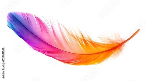 Colorful feather