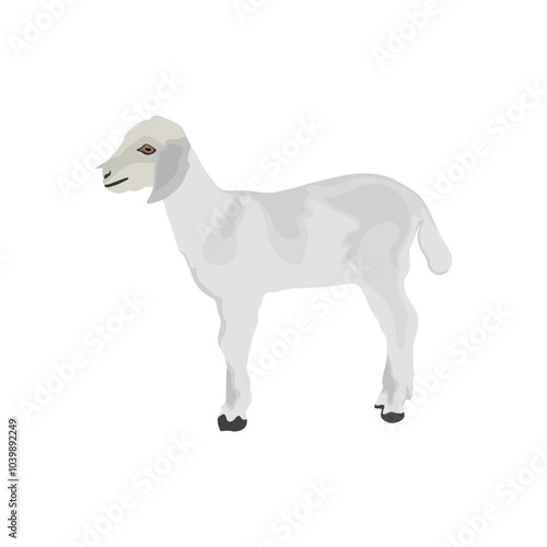 Vector illustration of white goat in cartoon flat style. Goat domestic animal for breeding in farmland. Icon for logo, symbol, infographic, illustration of dairy and meet animal