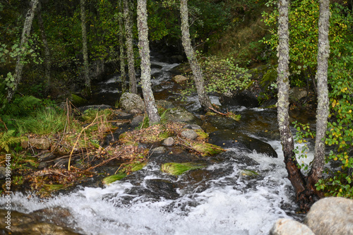 the Cuerpo de Hombre River with its cascades, feeding channels through Candelario, Ávila, Castilla y León, Spain

 photo