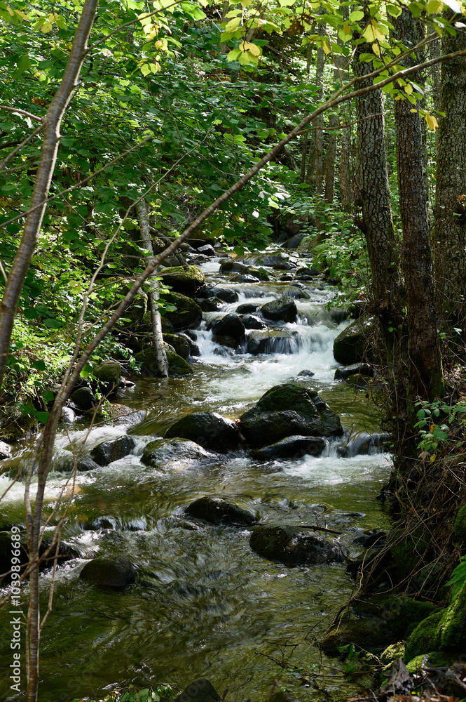 the Cuerpo de Hombre River with its cascades, feeding channels through Candelario, Ávila, Castilla y León, Spain
the Cuerpo de Hombre River with its cascades, feeding channels through Candelario, Ávila, Castilla y León, Spain
