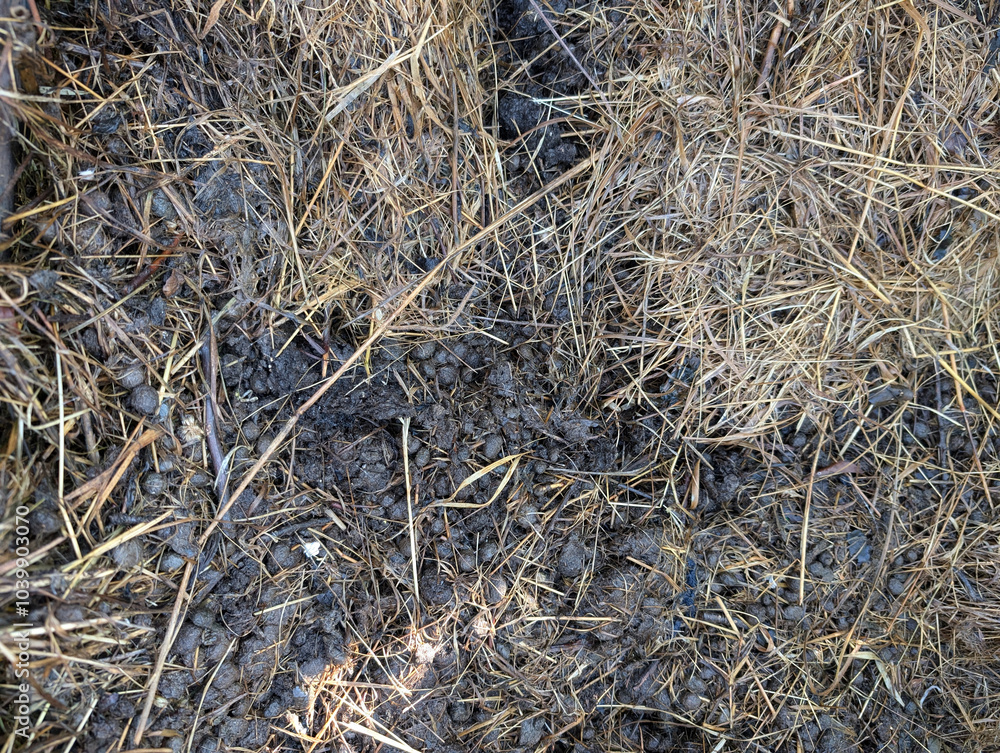 rabbit dung as natural texture rabbit dung as natural texture