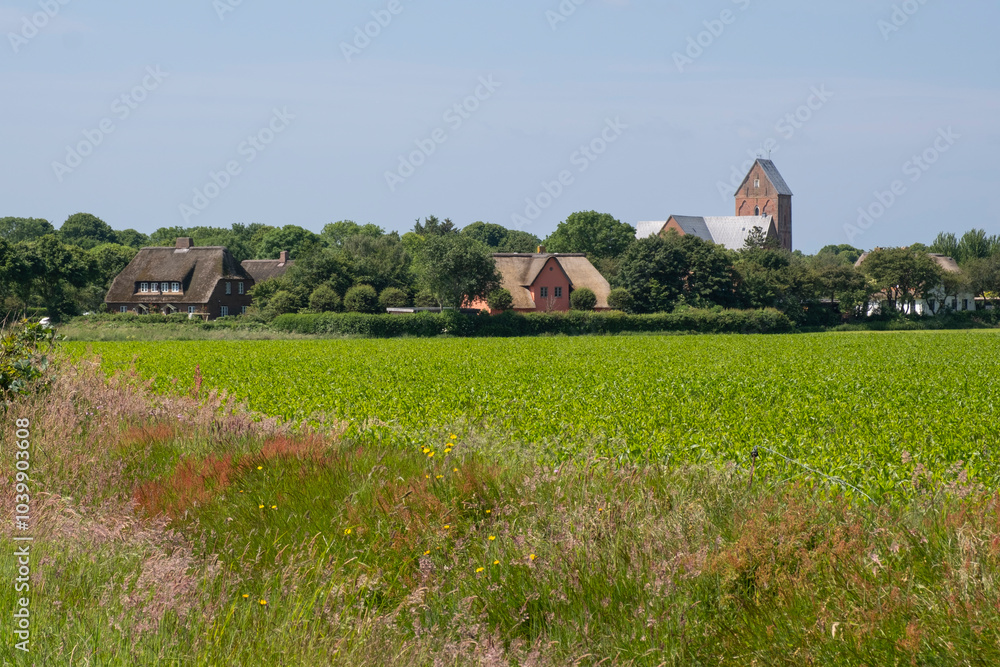 Landschaft mit Kirche St. Johannis, Nieblum, Föhr, Nordsee-Insel, Nordfriesland, Schleswig-Holstein, Deutschland, Europa Landschaft mit Kirche St. Johannis, Nieblum, Föhr, Nordsee-Insel, Nordfriesland, Schleswig-Holstein, Deutschland, Europa