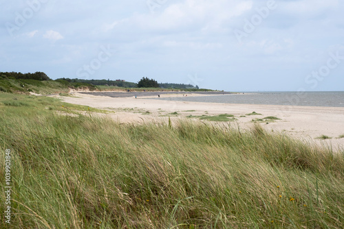 Sandstrand und Strandhafer an der Nordseeküste, Nieblum, Föhr, Nordsee-Insel, Nordfriesland, Schleswig-Holstein, Deutschland, Europa photo