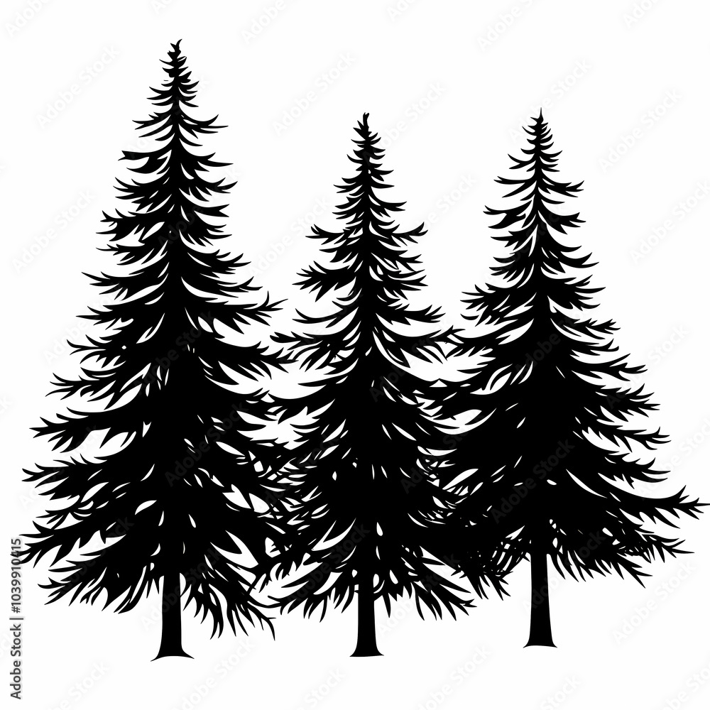 Obraz premium Winter forest silhouettes of fir trees and spruces with wood tree background.