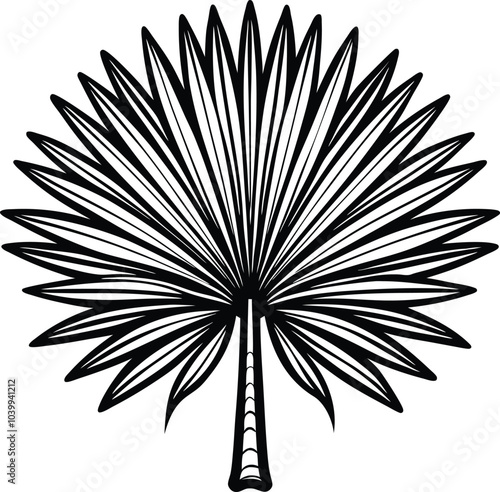 Ornate Palmetto Fan Engraving Black and White Outline, Illustration on White Background.