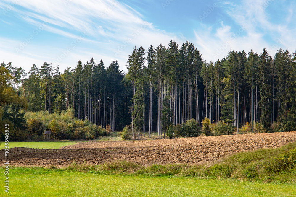 Agricultural earthy plowed field and coniferous forest.