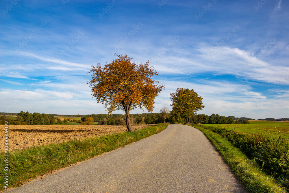 A peaceful countryside road autumnal fields and serene natural surroundings.