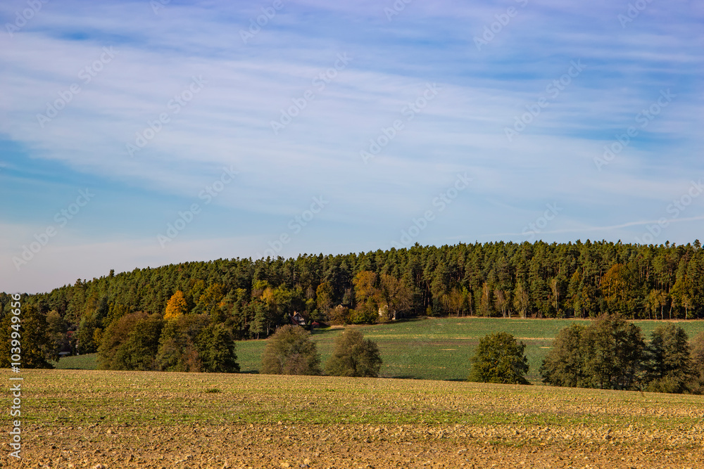 A field surrounded by a forest area in autumn sometimes.