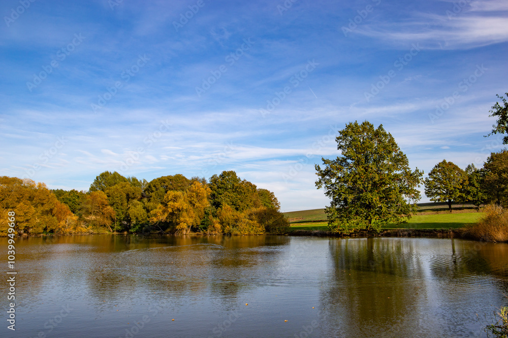 Autumn landscape on a sunny day. Lake and trees..