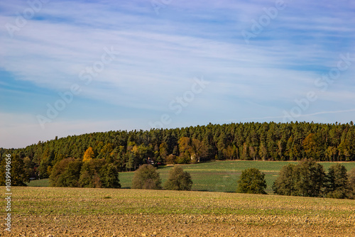 Obraz na płótnie A field surrounded by a forest area in autumn sometimes. w salonie