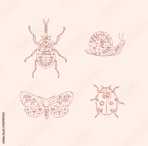 Obraz na płótnie Beetles elements rhinoceros beetle, snail, moth, ladybug drawing in floral style with red on pink background w salonie