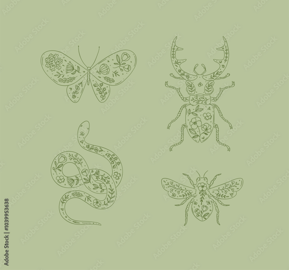 Beetles elements stag beetle, snake, moth, insect drawing in floral style on green background