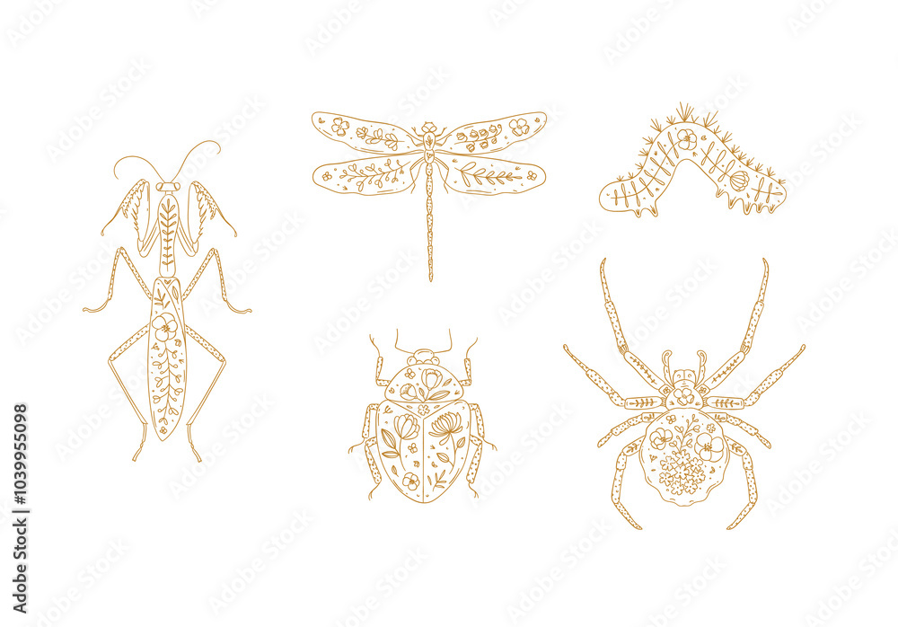 Beetles elements mantis, dragonfly, spider, caterpillar, insect drawing in floral style with beige on light background