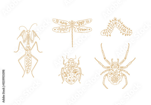 Obraz na płótnie Beetles elements mantis, dragonfly, spider, caterpillar, insect drawing in floral style with beige on light background w salonie