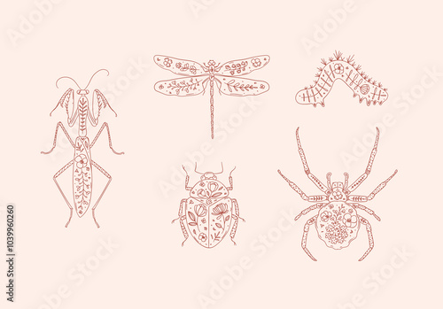 Beetles elements mantis, dragonfly, spider, caterpillar, insect drawing in floral style with red on pink background