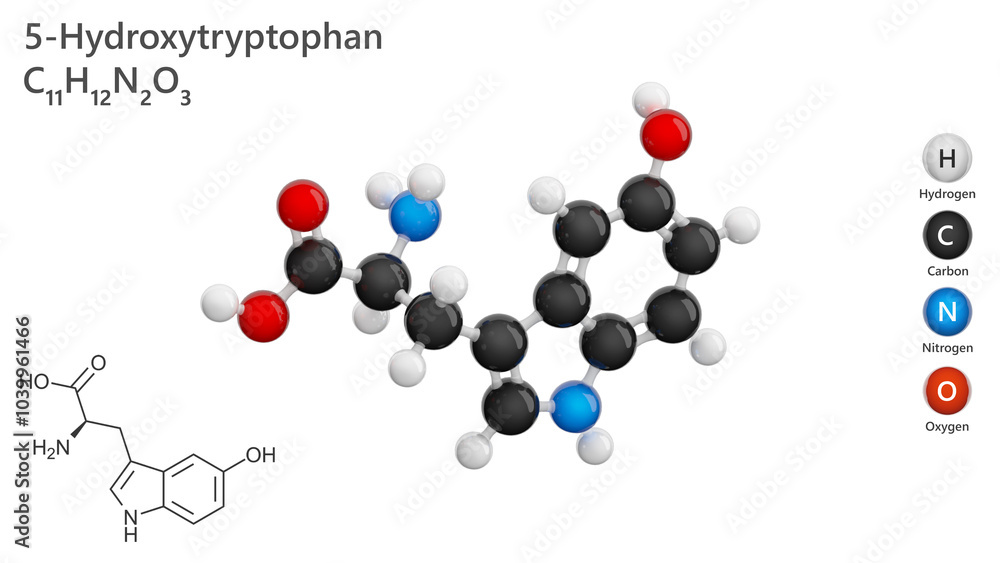 Molecule: 5-Hydroxytryptophan. Molecular structure. Formula: C11H12N2O3. Chemical model: Ball and stick. White background. 3D illustration. Molecule: 5-Hydroxytryptophan. Molecular structure. Formula: C11H12N2O3. Chemical model: Ball and stick. White background. 3D illustration.