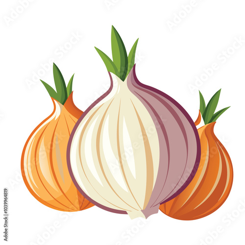 onion isolated on white
