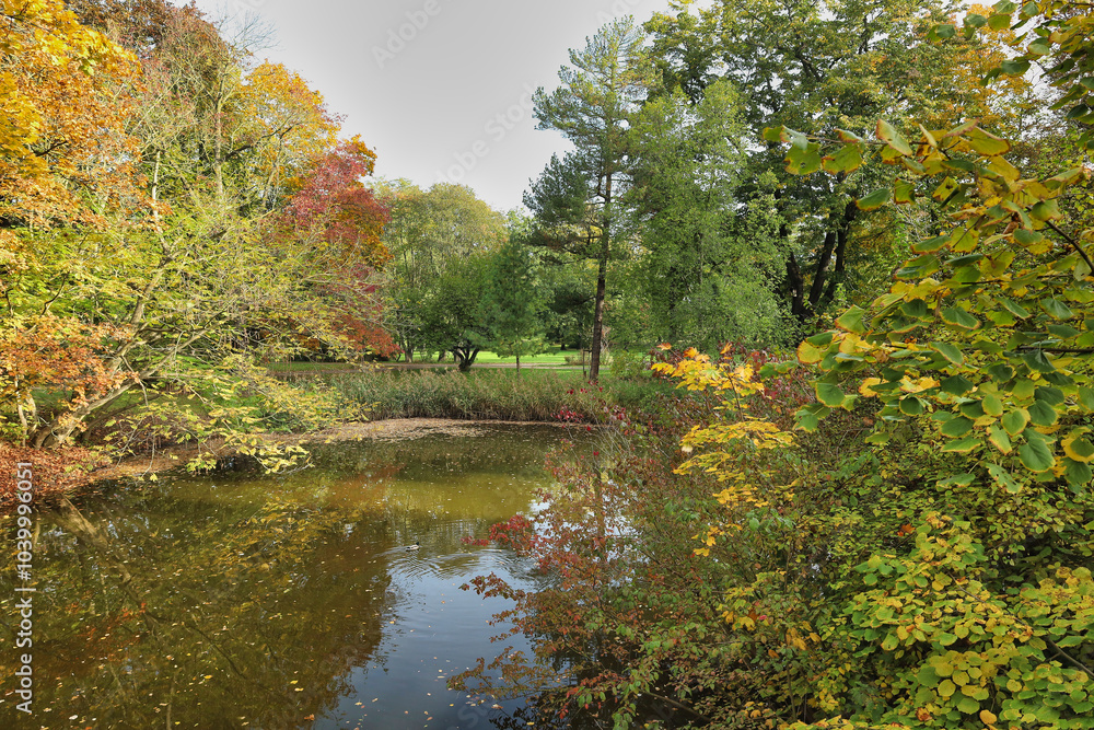 Teich im Palmengarten, Park, im Herbst, Leipzig, Sachsen, Deutschland Teich im Palmengarten, Park, im Herbst, Leipzig, Sachsen, Deutschland
