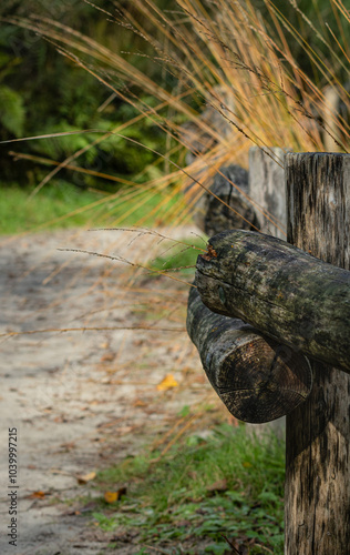 Sandweg im Park photo