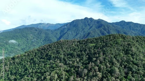 Aerial drone shot over primary Jungle tropical rain forest in Nan, Thailand. Aerial view, moving over a rainforest tree canopy in a slow pace beautiful green nature background of a tropical forest. photo