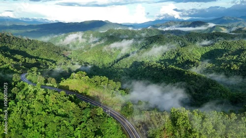 Aerial drone shot over primary Jungle tropical rain forest in Nan, Thailand. Aerial view, moving over a rainforest tree canopy in a slow pace beautiful green nature background of a tropical forest.