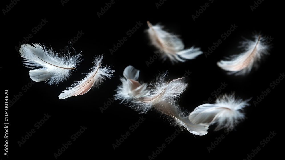 A group of fluffy white feathers gently falling, creating a serene and delicate atmosphere. A group of fluffy white feathers gently falling, creating a serene and delicate atmosphere.