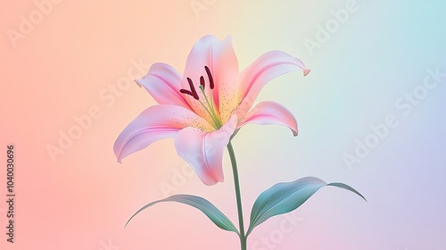 Solitary blossom in soft hues
