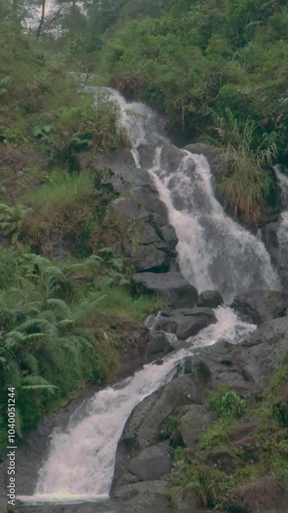 small waterfall in the middle of the forest with rocks in portrait small waterfall in the middle of the forest with rocks in portrait
