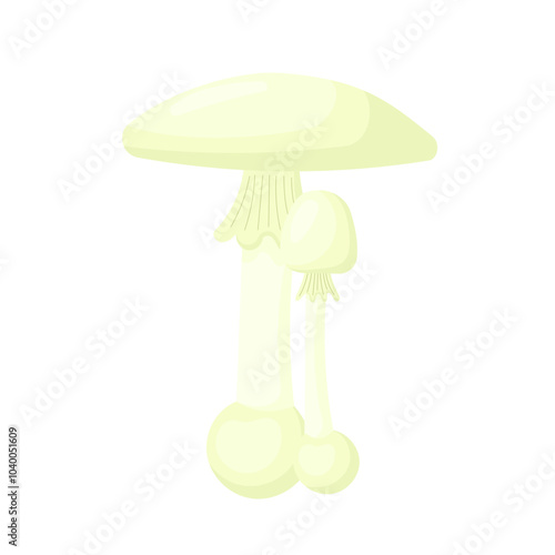 Death cap mushrooms vector flat. A poisonous toxic dangerous mushroom - death cap isolated without background. Vector illustration